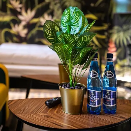 Jungle Podwale Wroclaw